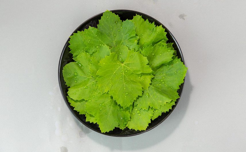 Gebratenes Gemüse und Weinblätter