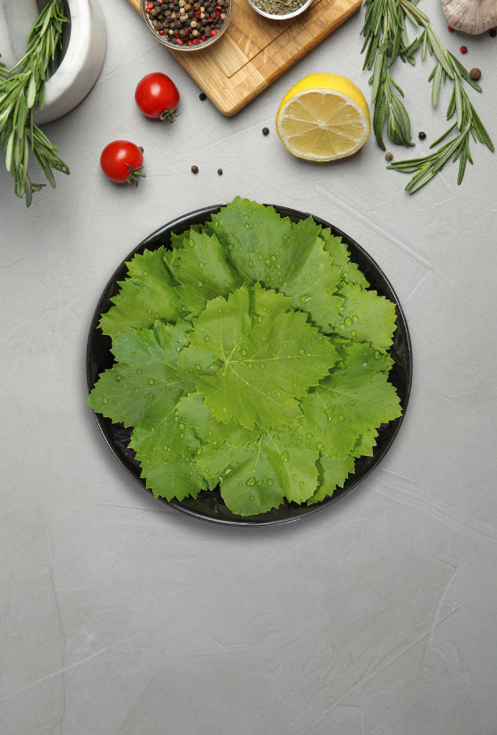 Weinblätter in Salzlake