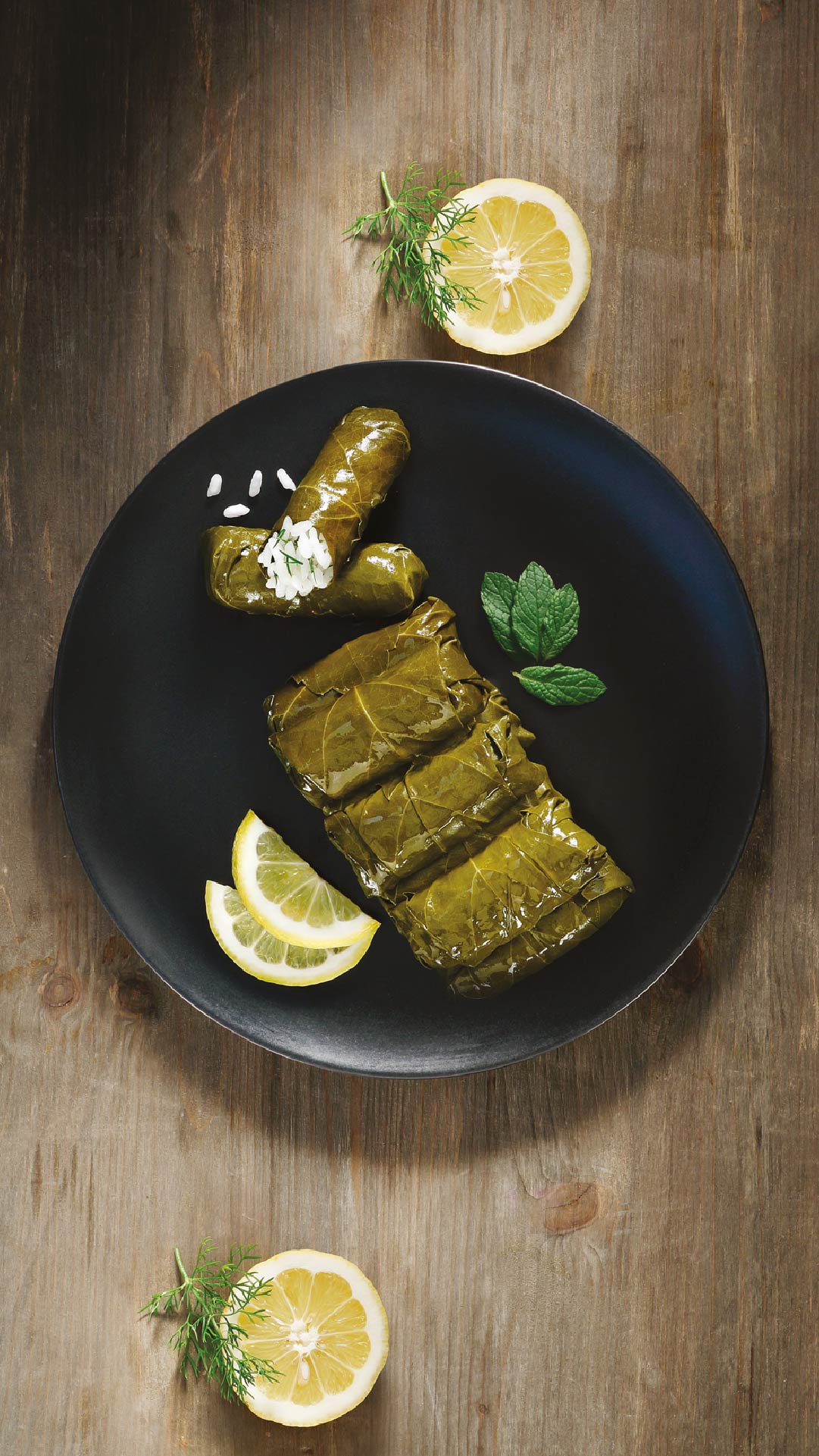 Spitika, Stuffed vine leaves with fresh lemon juice & herbs, for professionals