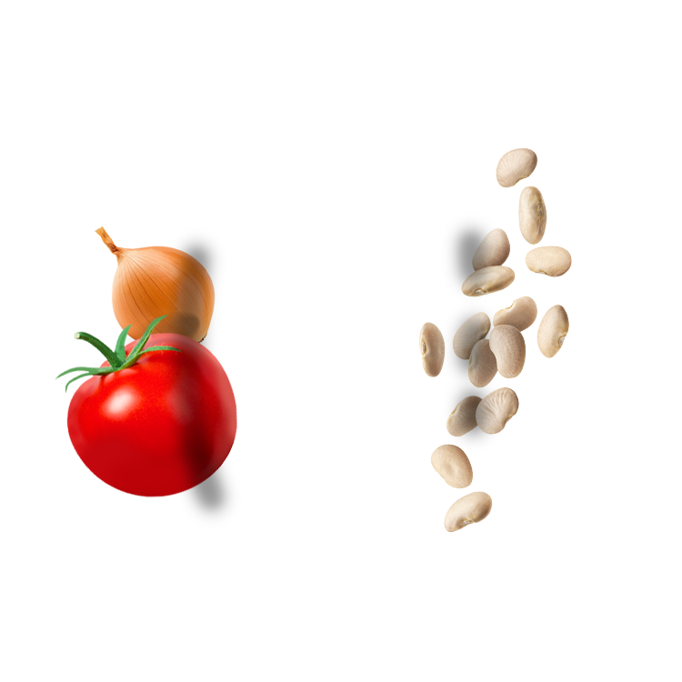 Riesenbohnen gekocht in Tomaten und Zwiebelsauce, in einer Platte