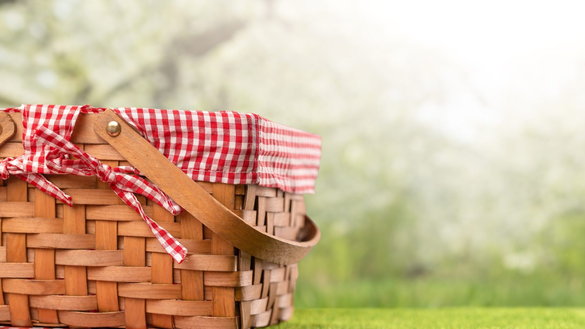 Οικογενειακό πικ νικ