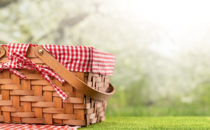 Οικογενειακό πικ νικ