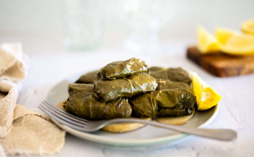 Best Authentic Greek Appetizers for Any Meal