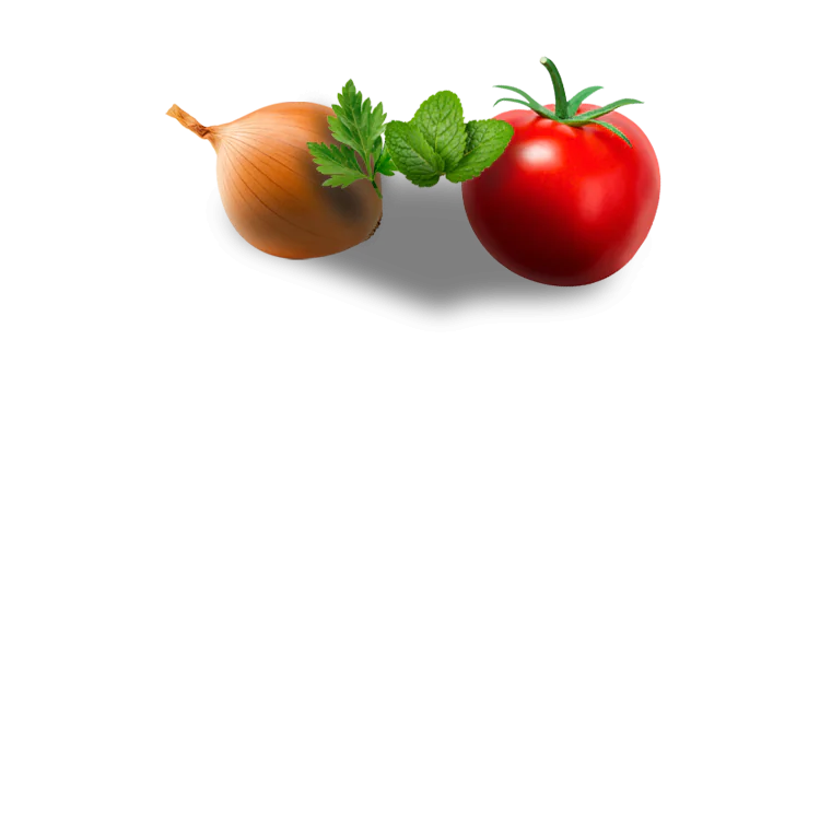 Fleischbällchen in Tomatensauce