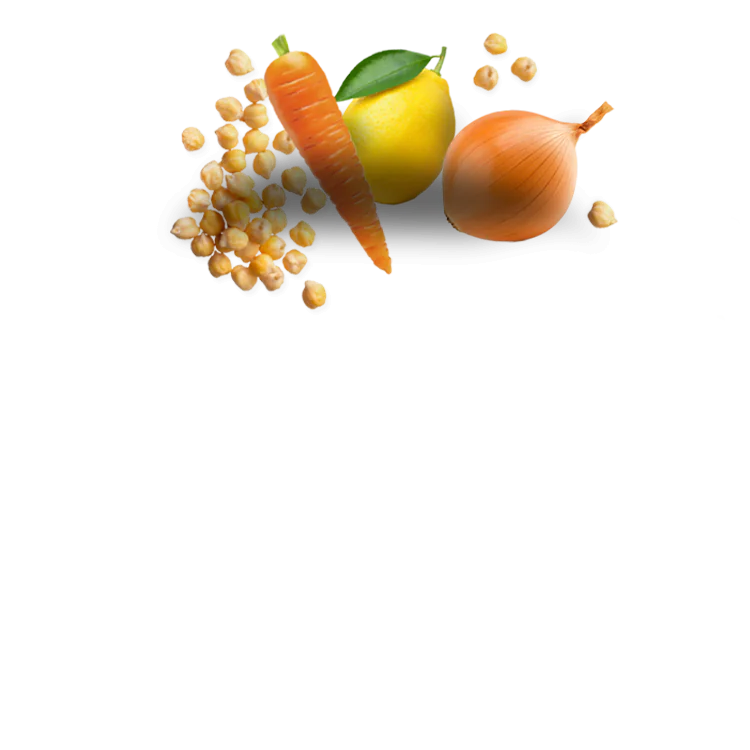 Kichererbsen mit Zwiebeln und Karotten in Zitronensauce
