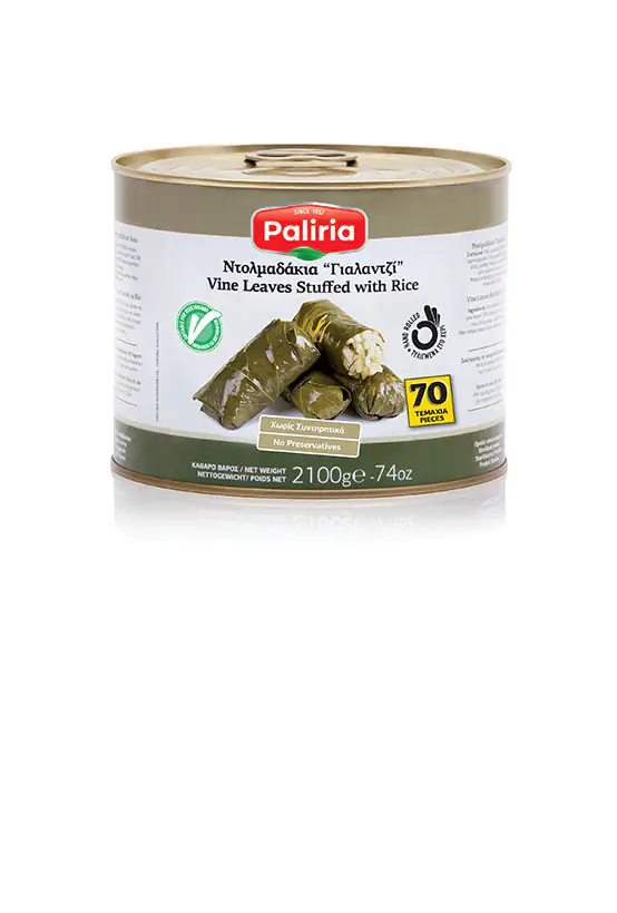 Stuffed Vine leaves with rice & herbs for professionals