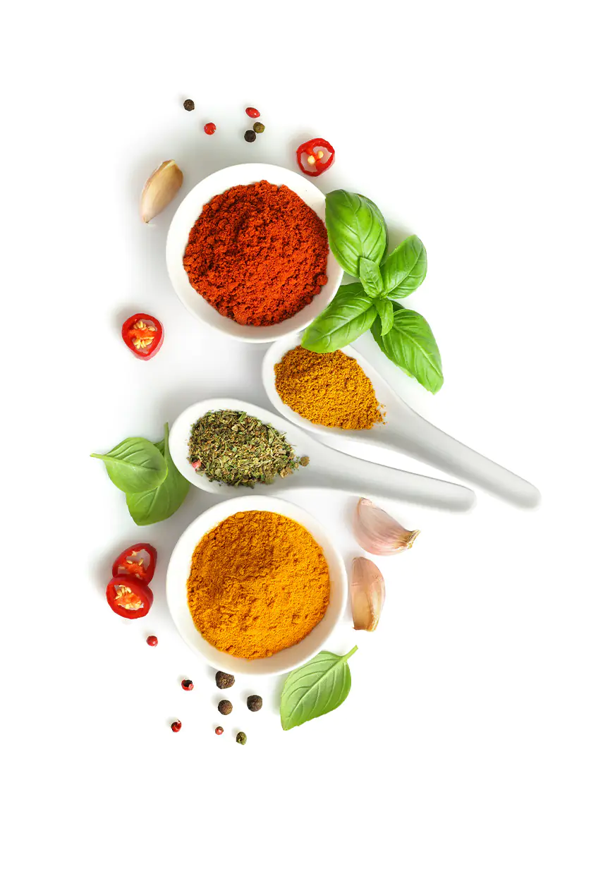 Paliria Dolmas with tricolor Quinoa & roasted vegetables