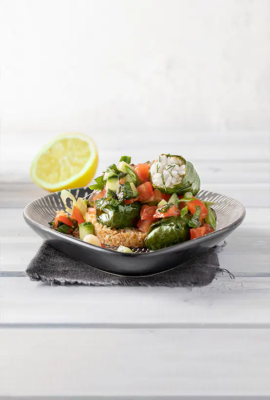 Paliria Dolmas with tomato salad