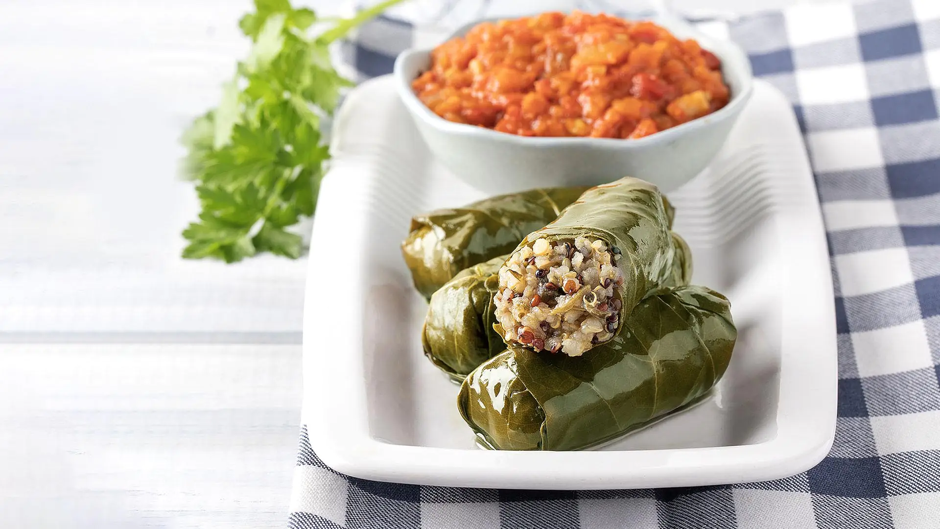 Dolmadakia mit dreifarbiger Quinoa Paliria und Dip aus gerösteten roten Paprikaschoten