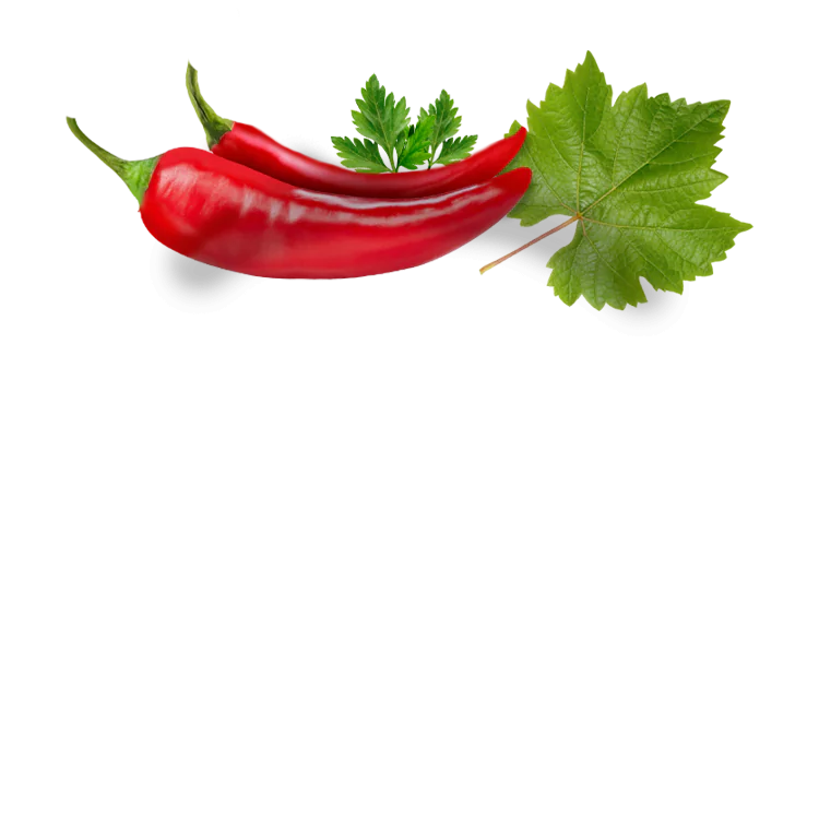 Süb-pikante Gefüllte Weinblätter mit Reis und Paprika - Paliria