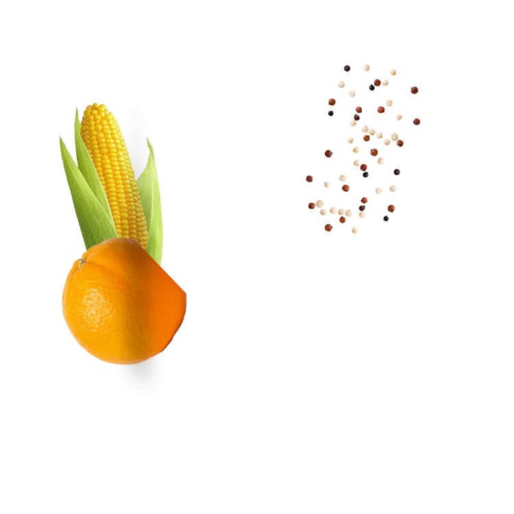 Tri-color Quinoa with corn & orange dressing