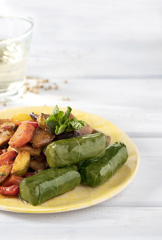 Paliria Dolmas with tricolor Quinoa & roasted vegetables