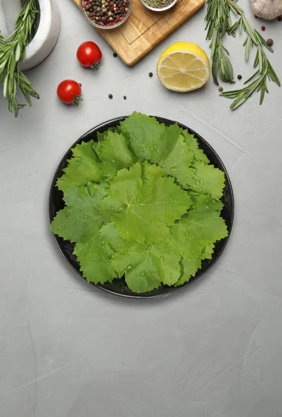 Vine Leaves in brine