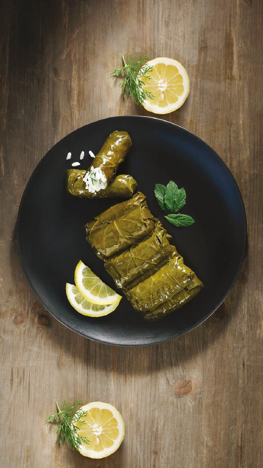 Spitika, Stuffed vine leaves with fresh lemon juice & herbs, for professionals