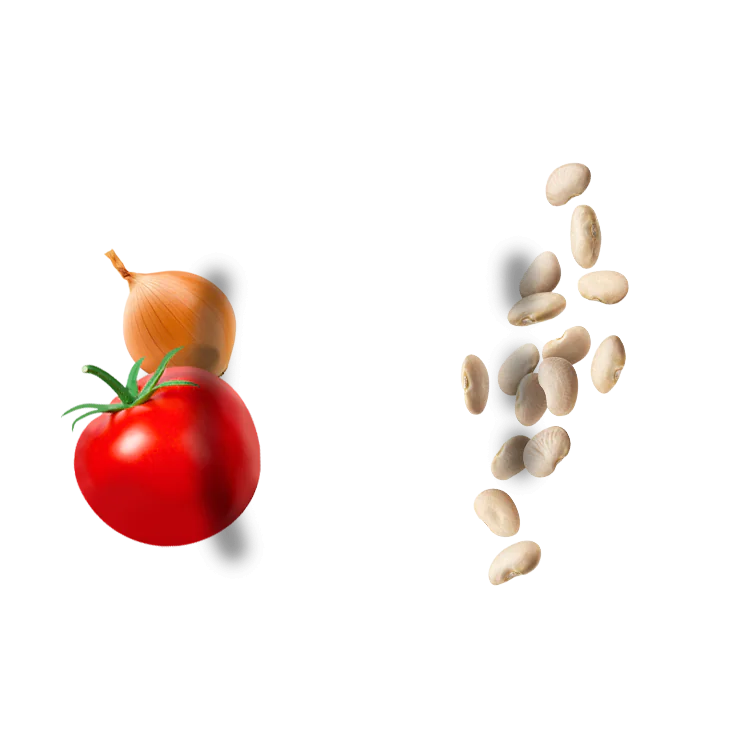 Giant beans in onion & tomato sauce in a plate